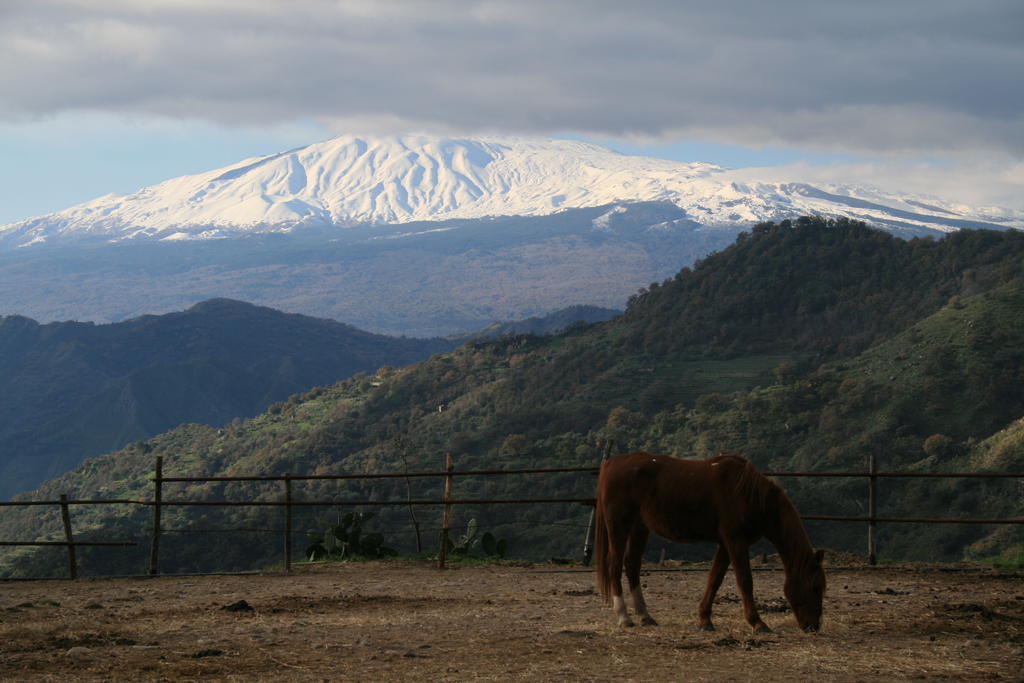 Agriturismo San Cataldo Motta Camastra Bagian luar foto